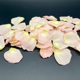 Freeze Dried Rose Petals - Blush