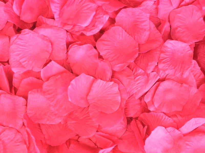 Punch Aisle Rose Petals, 500 petals