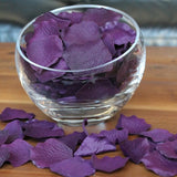 Eggplant Silk Rose Petals, 100 petals