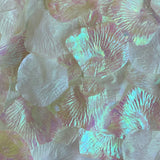 Pearl Silk Rose Petals, 100 petals