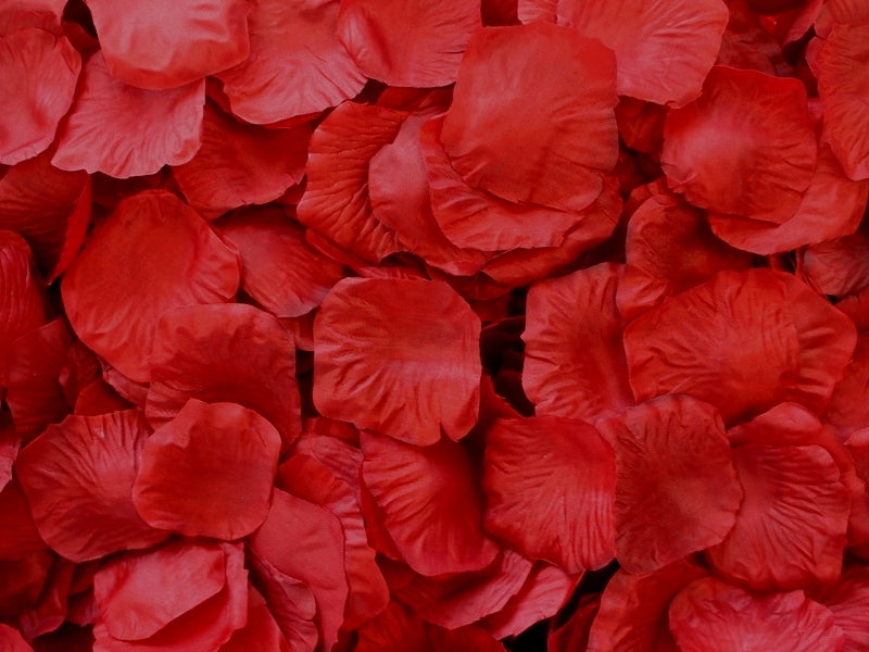 Aisle Petals, 500 petals per bag