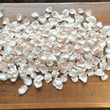Freeze Dried Rose Petals - Bashful