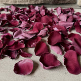 Freeze Dried Rose Petals - Burgundy