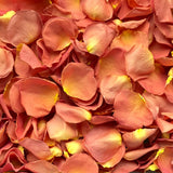 Freeze Dried Rose Petals - Ember