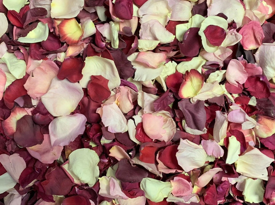 Rose Petals, Romance Blend Real Freeze Dried Petals for Pathways, 70 cups
