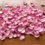 Freeze Dried Rose Petals - Aurora Pink