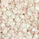 Freeze Dried Rose Petals - Bashful