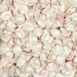 Rose Petals, REAL Freeze Dried Petals, 5 cups