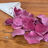 Freeze Dried Rose Petals - Burgundy