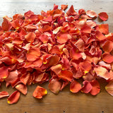 Freeze Dried Rose Petals - Flaming Hot Orange