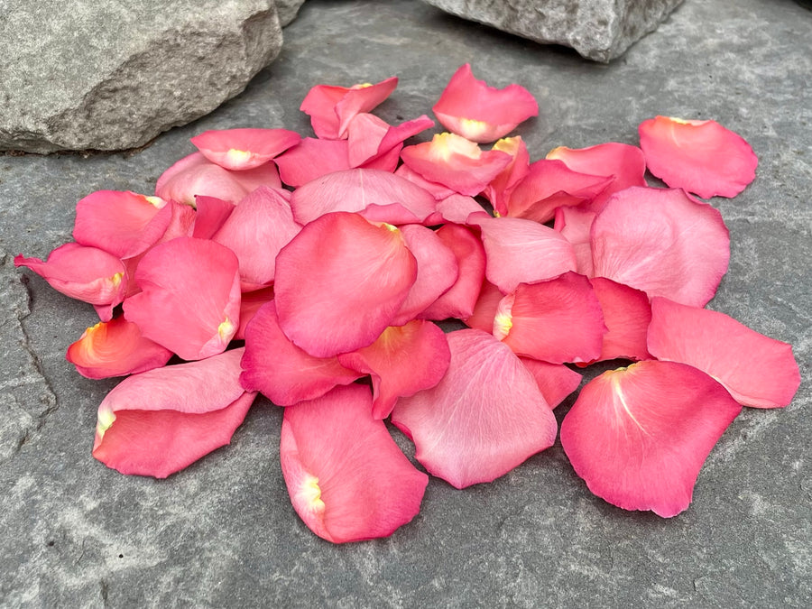 Freeze Dried Rose Petals - Flamingo