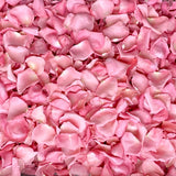 Freeze Dried Rose Petals - Pink
