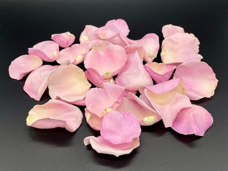 Freeze Dried Rose Petals - Pixie Pink