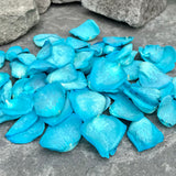 Freeze Dried Rose Petals - Teal dyed