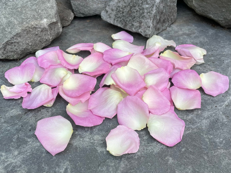 Freeze Dried Rose Petals - Whisper