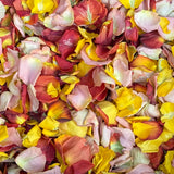 Rose Petals, Real Freeze Dried Petals in Pinks, Orange, and Yellow for Pathways, 70 cups