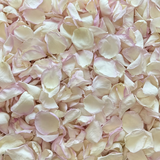 Freeze Dried Rose Petals - Whisper