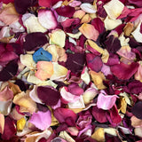 Rose Petals, Real Assorted Freeze Dried Bulk Budget Petals, 100 cups