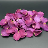 Freeze Dried Rose Petals - Gemstone
