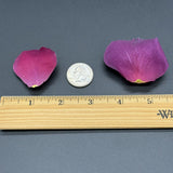 Freeze Dried Rose Petals - Gemstone