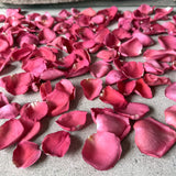 Freeze Dried Rose Petals - Hot Pink