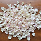 Freeze Dried Rose Petals - Whisper