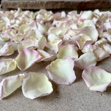 Freeze Dried Rose Petals - Whisper