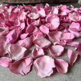 Freeze Dried Rose Petals - Pink