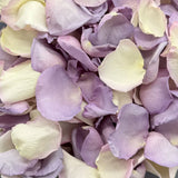 Freeze Dried Rose Petals - Custom Blend