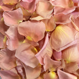 Freeze Dried Rose Petals - Peach