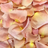 Freeze Dried Rose Petals - Peach