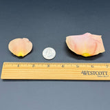 Freeze Dried Rose Petals - Peach