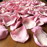 Freeze Dried Rose Petals - Pink