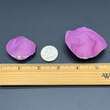 Freeze Dried Rose Petals - Purple