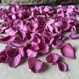 Freeze Dried Rose Petals - Purple
