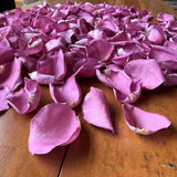 Freeze Dried Rose Petals - Purple