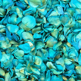 Rose Petals, Teal Dyed, Real Freeze Dried Bulk Budget Petals, 100 cups