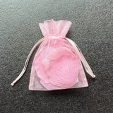 3x4 Organza Bag