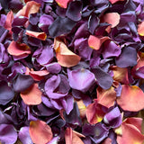 Freeze Dried Rose Petals - Custom Blend
