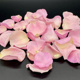 Freeze Dried Rose Petals - Rosy Mauve