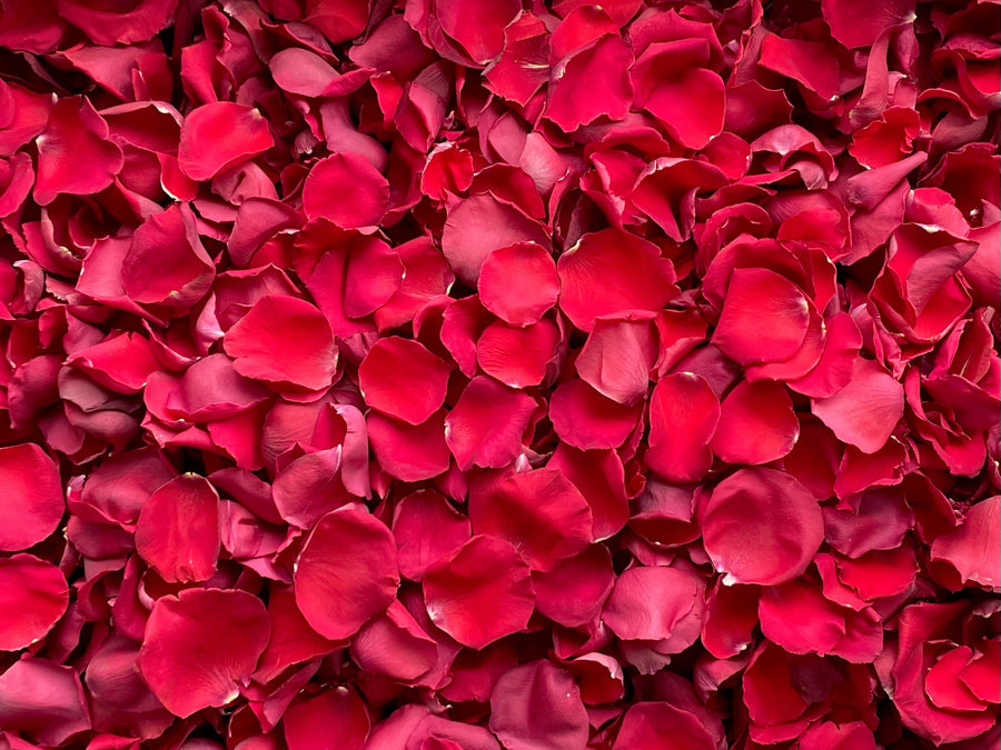 Freeze Dried Rose Petals - Red