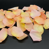 Freeze Dried Rose Petals - Seashell