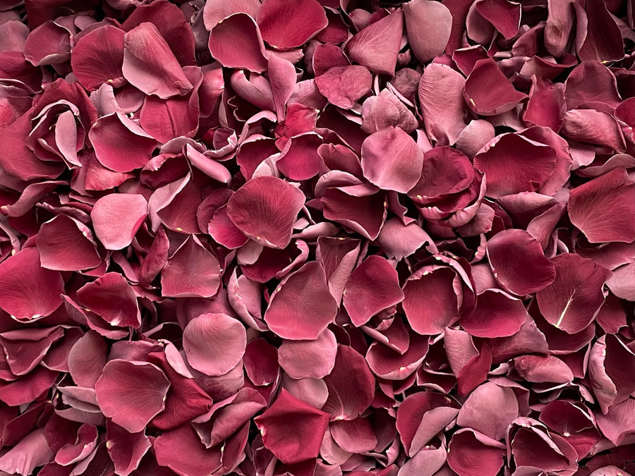 Freeze Dried Rose Petals - Burgundy