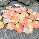 Freeze Dried Rose Petals - Seashell