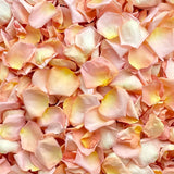 Freeze Dried Rose Petals - Seashell