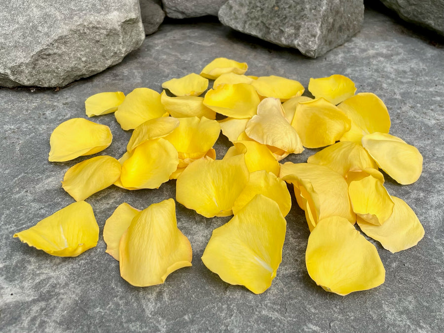 Freeze Dried Rose Petals - Yellow