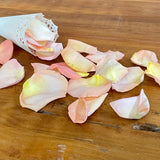 Freeze Dried Rose Petals - Seashell