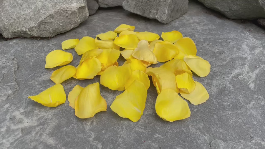 Freeze Dried Rose Petals - Yellow