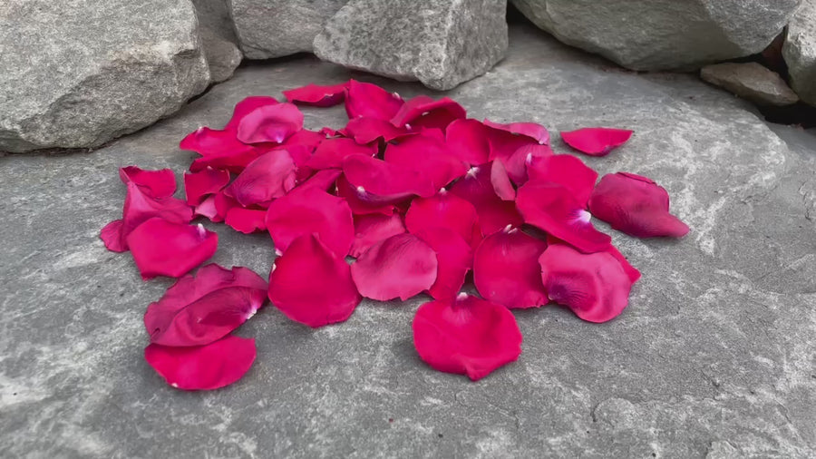 Freeze Dried Rose Petals - Red