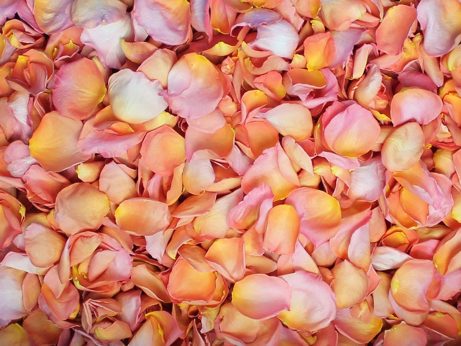 Freeze Dried Rose Petals - Citrus